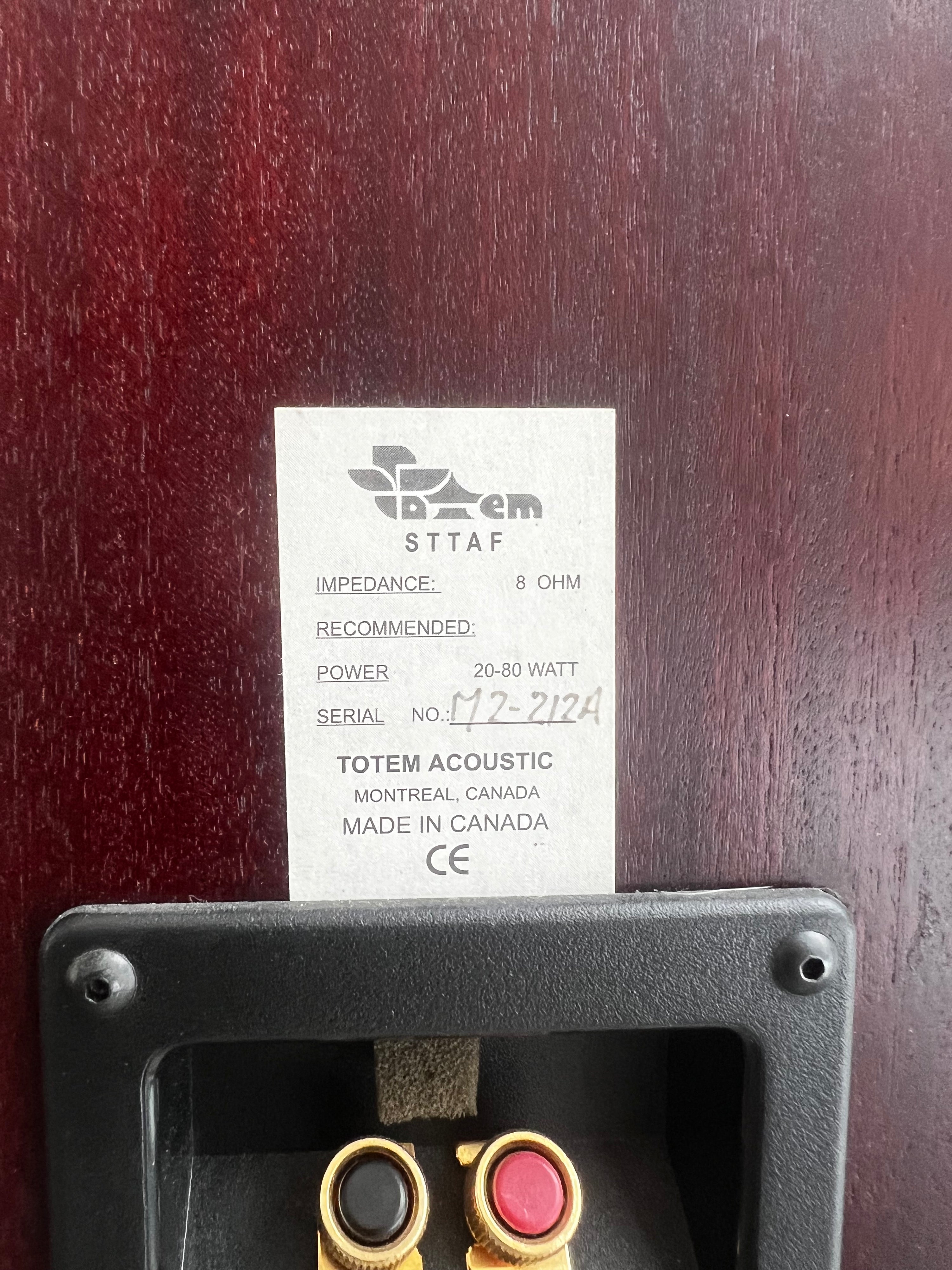 Totem STTAF  MK2_ Haut-Parleurs de plancher