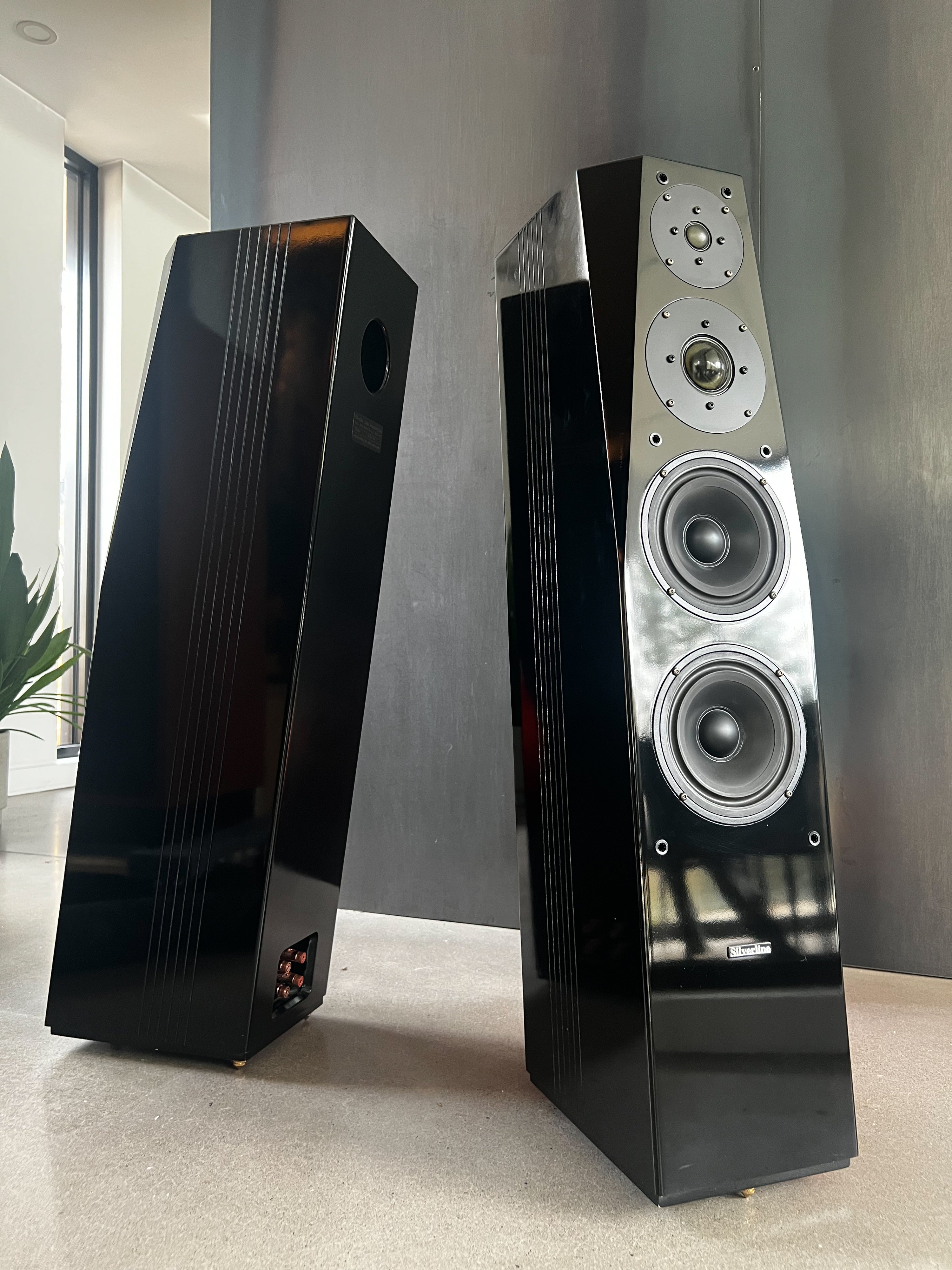 Silverline Sonatina_ Haut-Parleurs de plancher