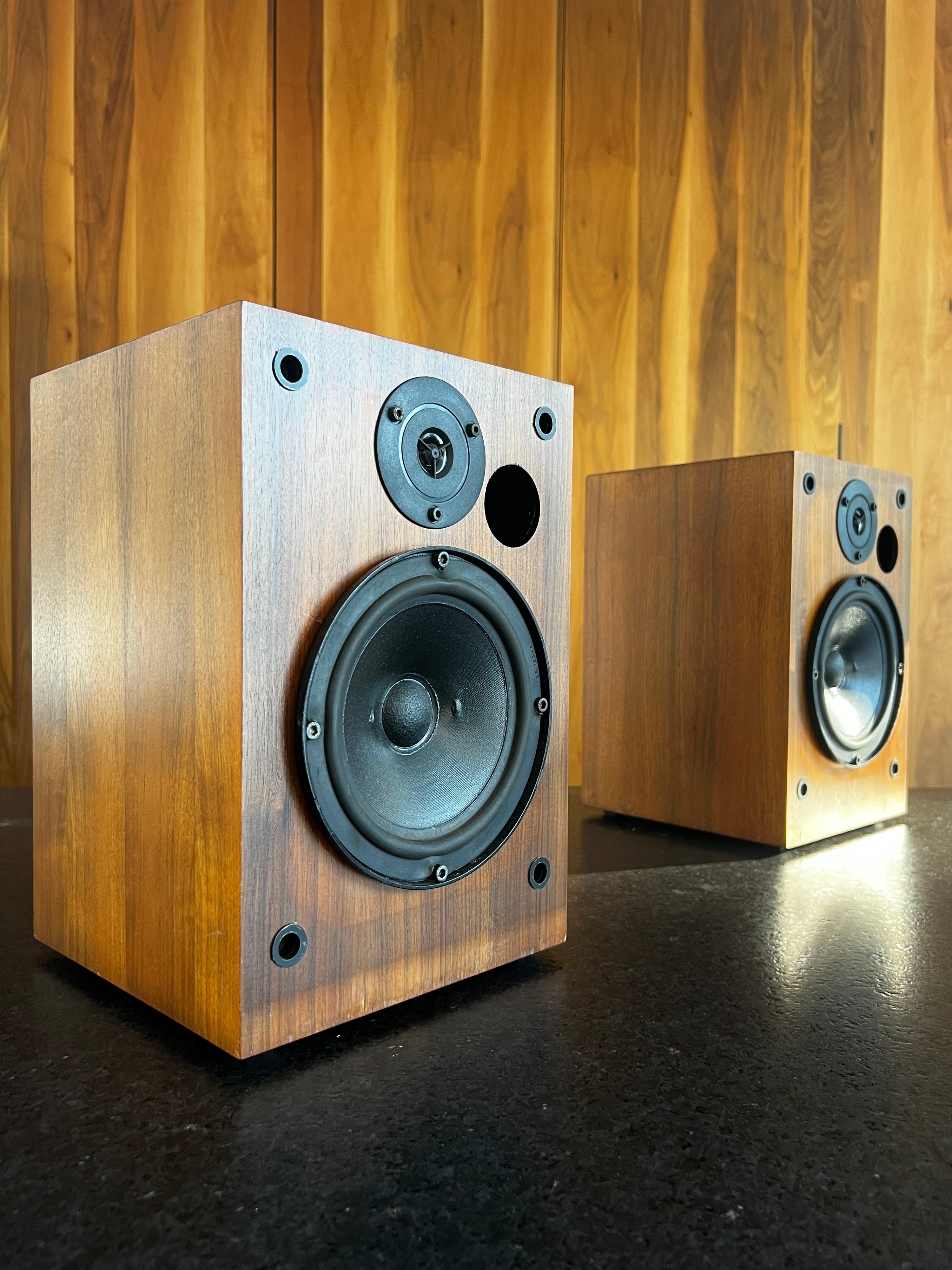 Pierre Étienne Léon Junior _Haut-parleurs d’étagère 