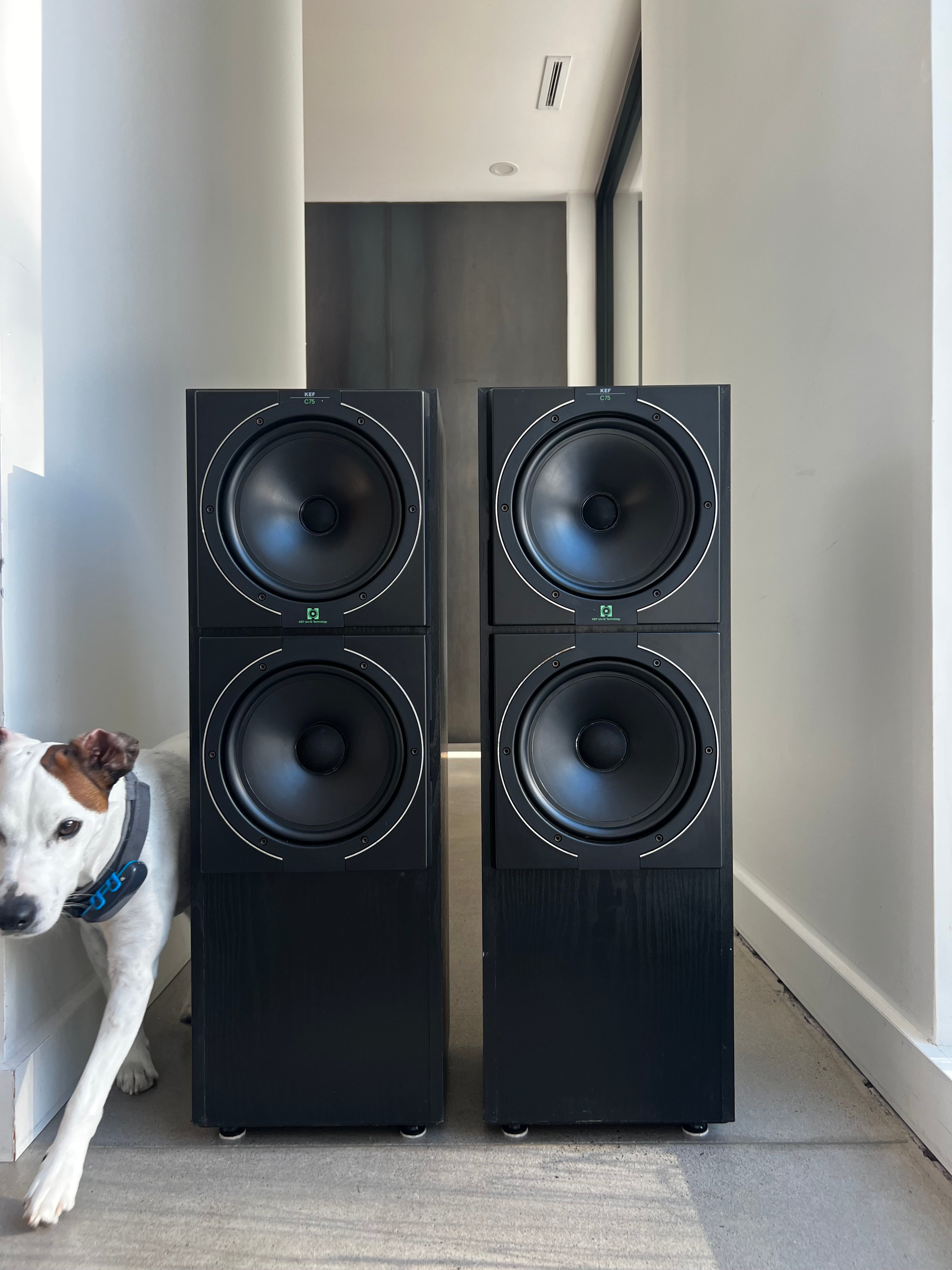 Kef C75_ Haut-Parleurs de plancher