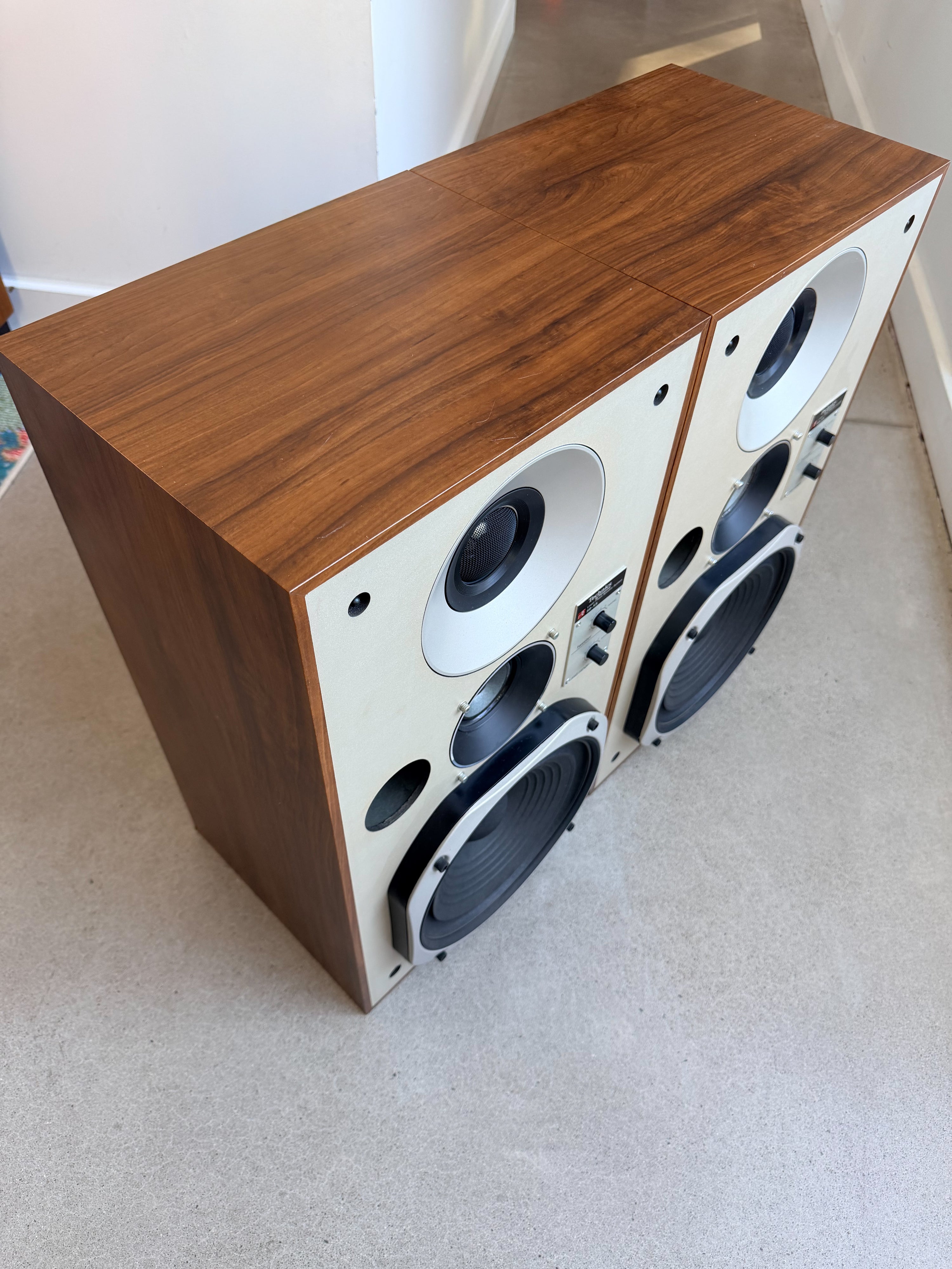 Technics SB-X5 _Haut-Parleurs de plancher