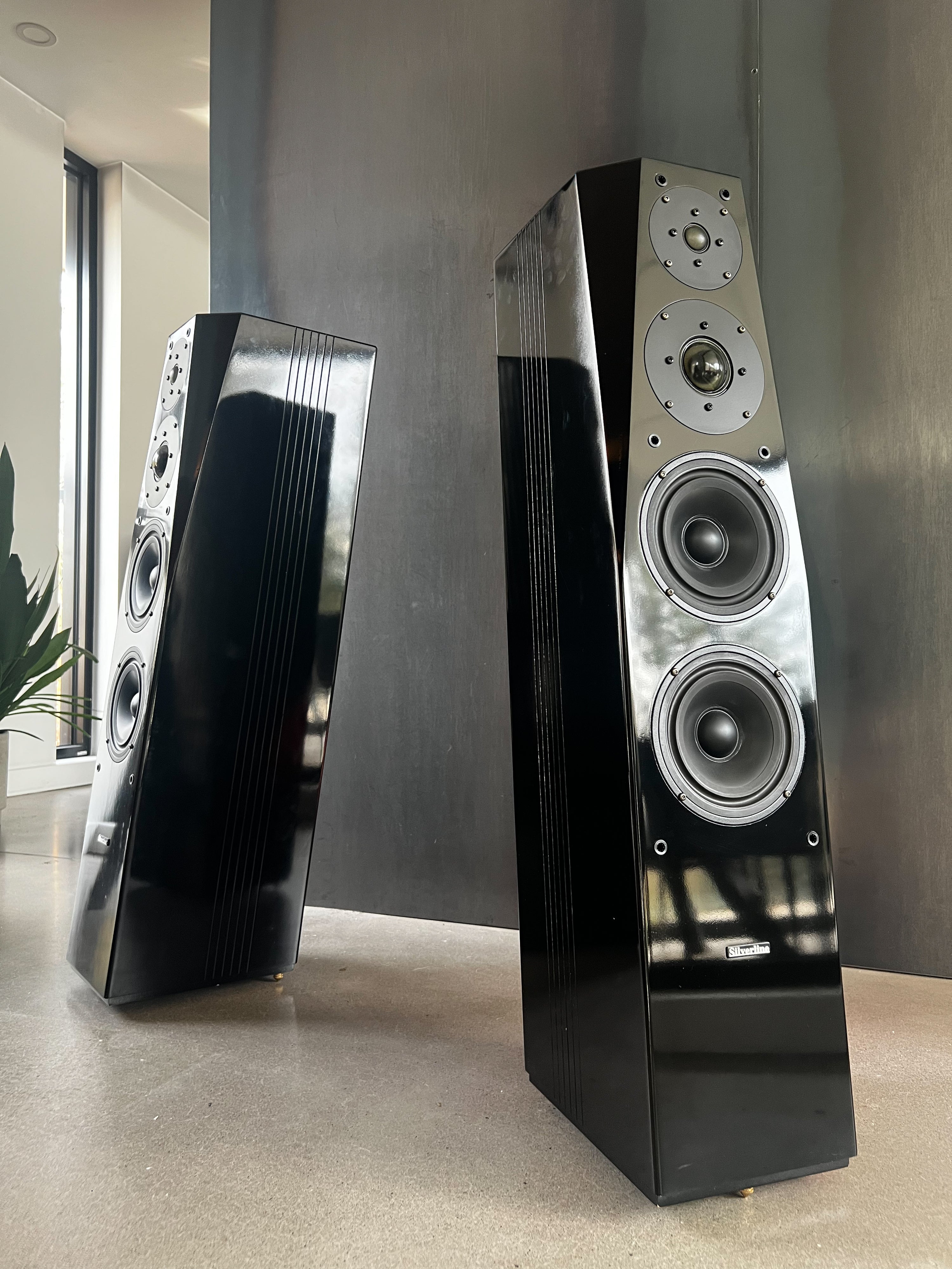Silverline Sonatina_ Haut-Parleurs de plancher