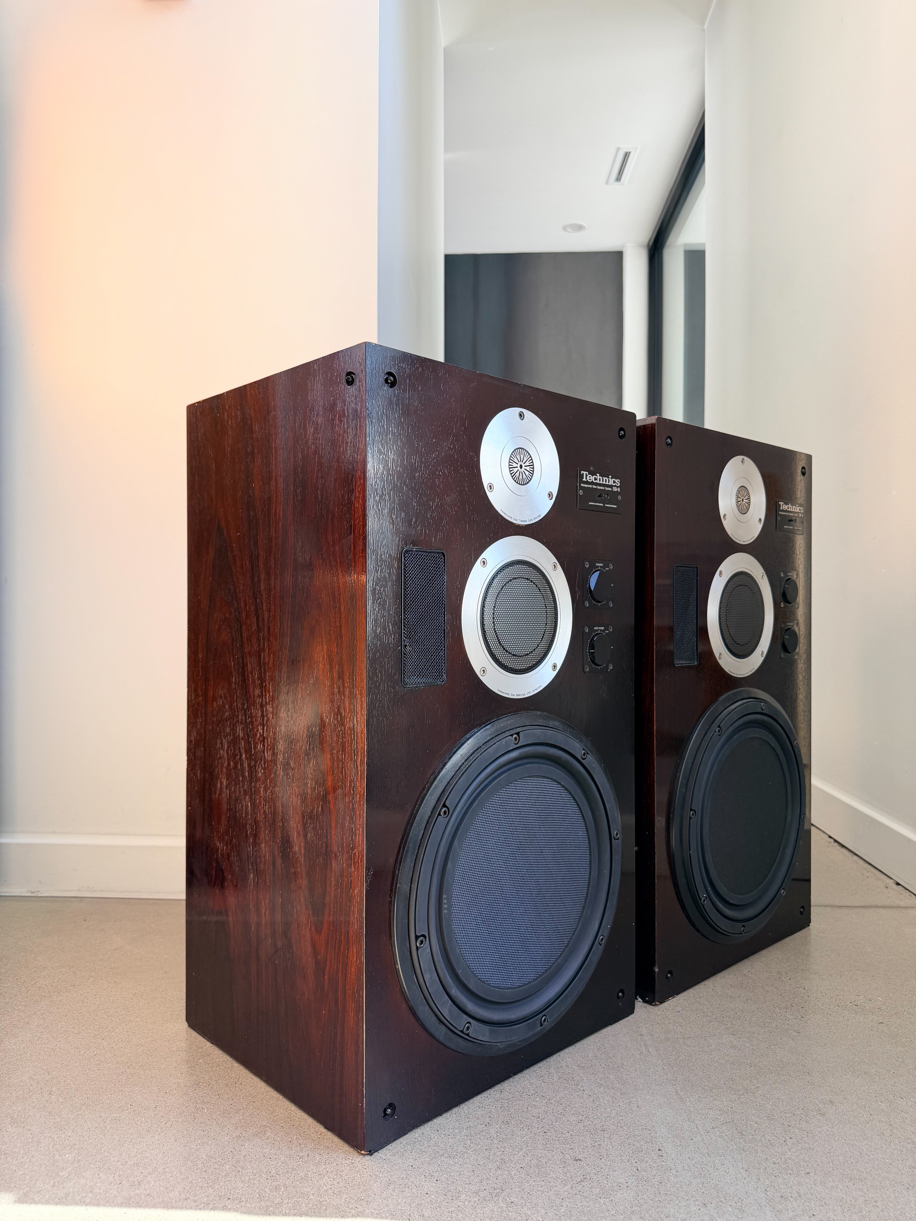 Technics SB-8 _Haut-Parleur de plancher (HP10xx)