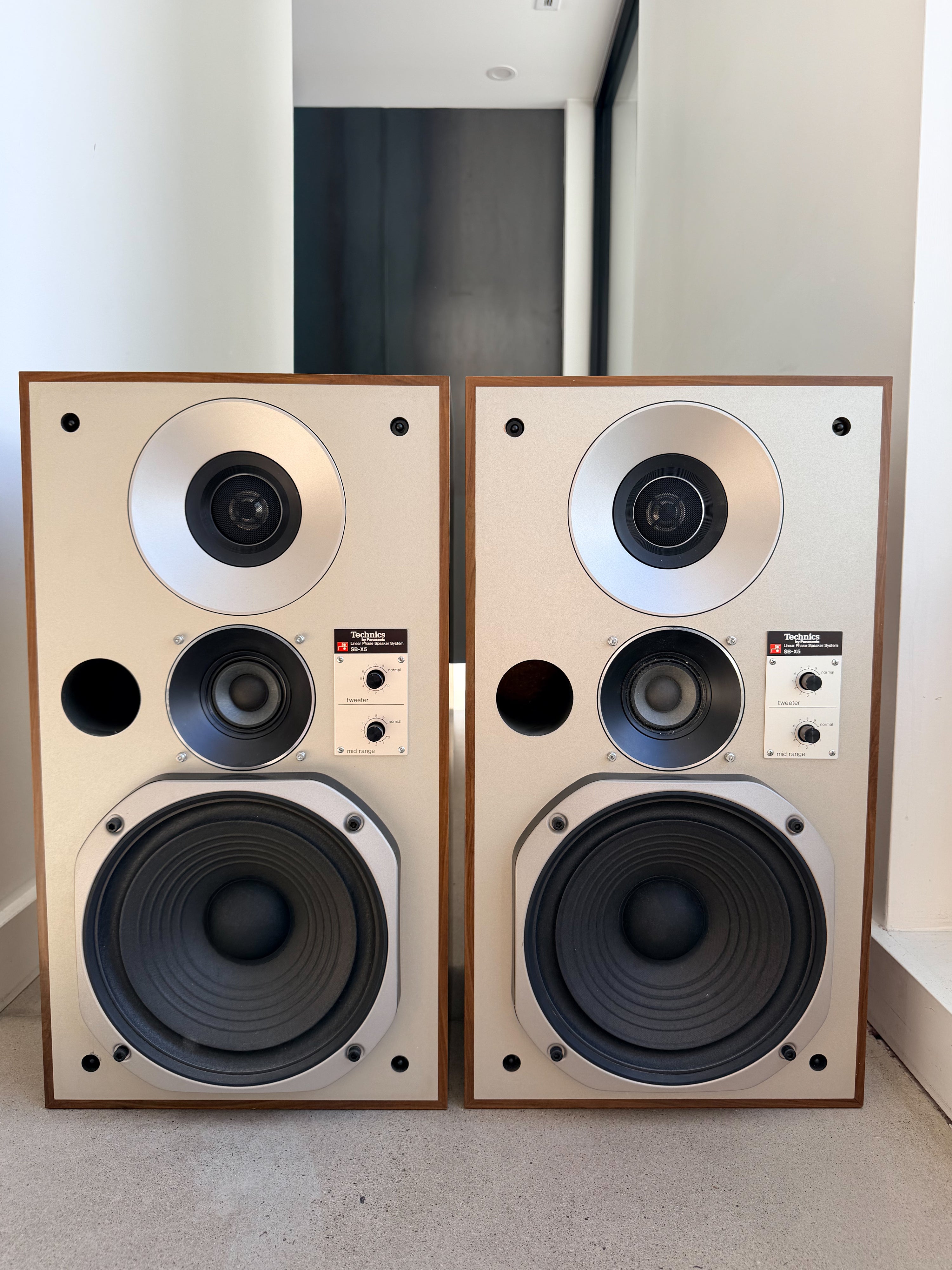 Technics SB-X5 _Haut-Parleurs de plancher