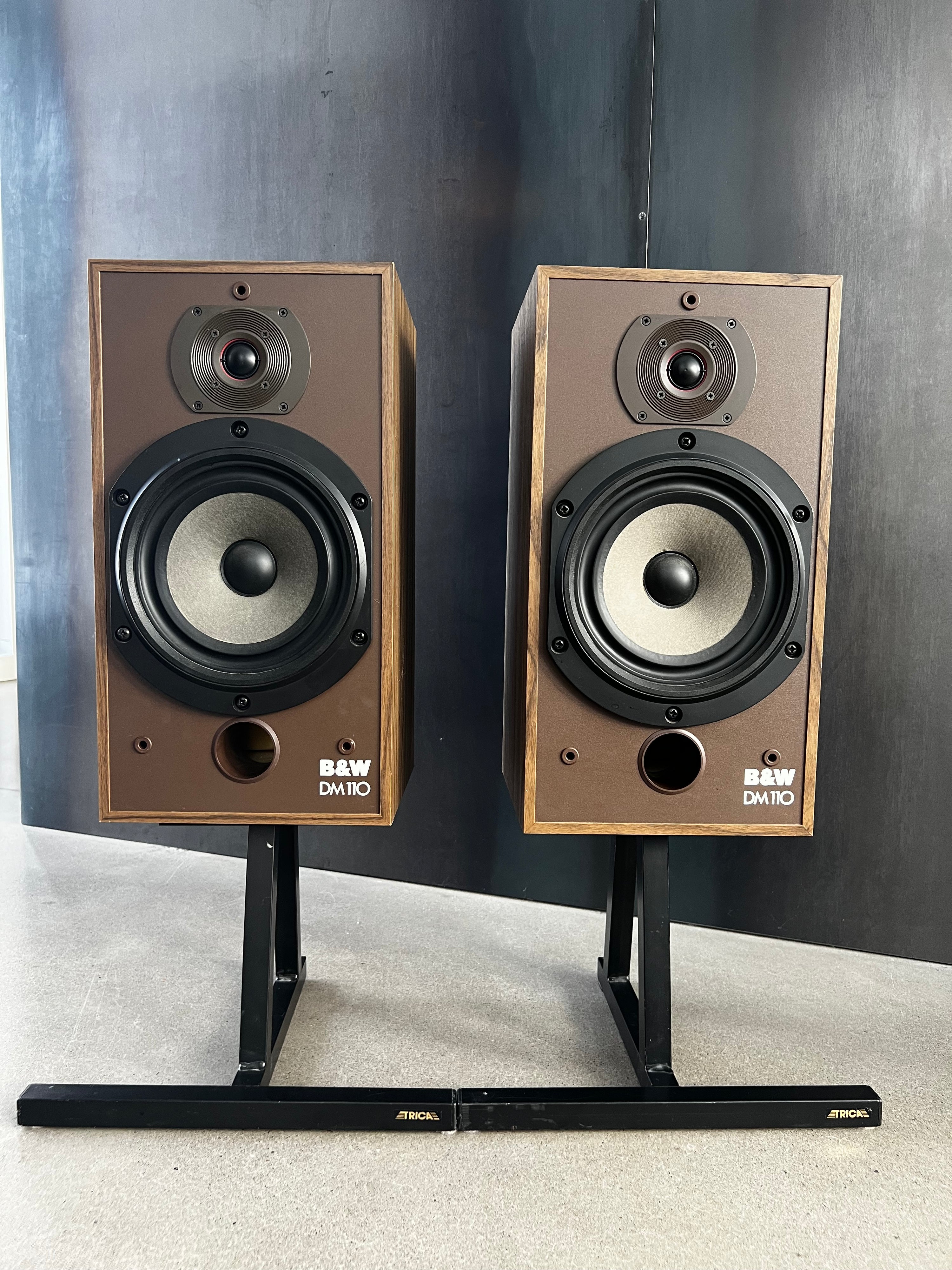 Bowers & Wilkins DM110 _haut-parleurs d’étagère