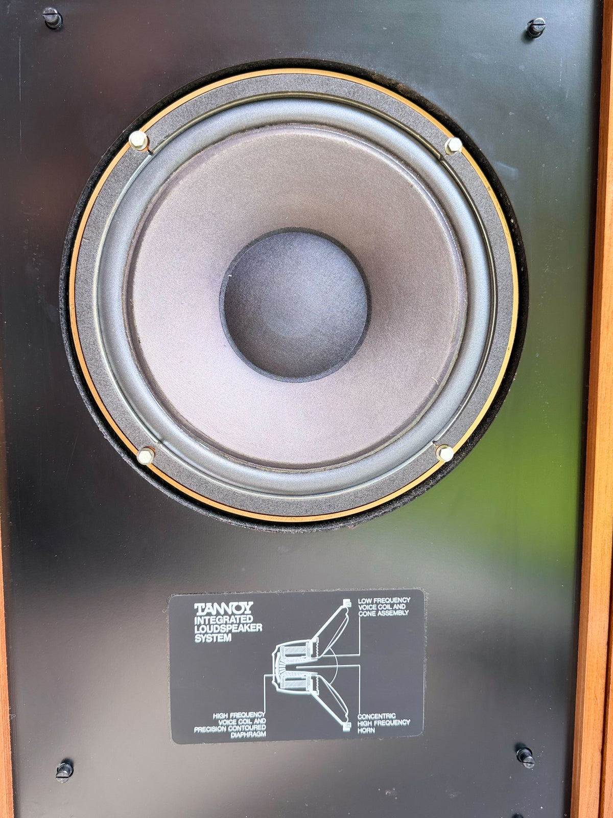 Tannoy Cheviot MK1  _Floorstanding speakers