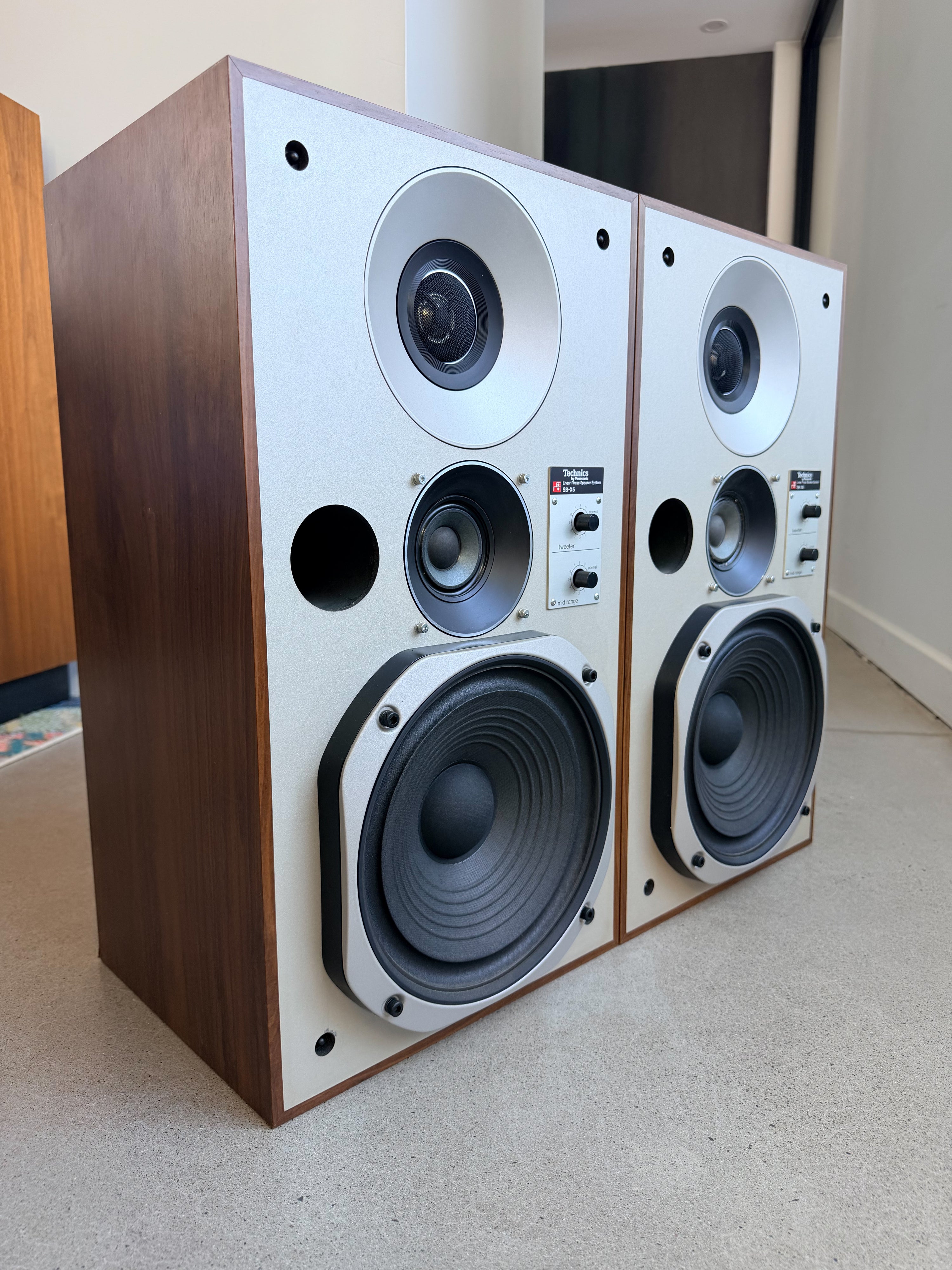 Technics SB-X5 _Haut-Parleurs de plancher