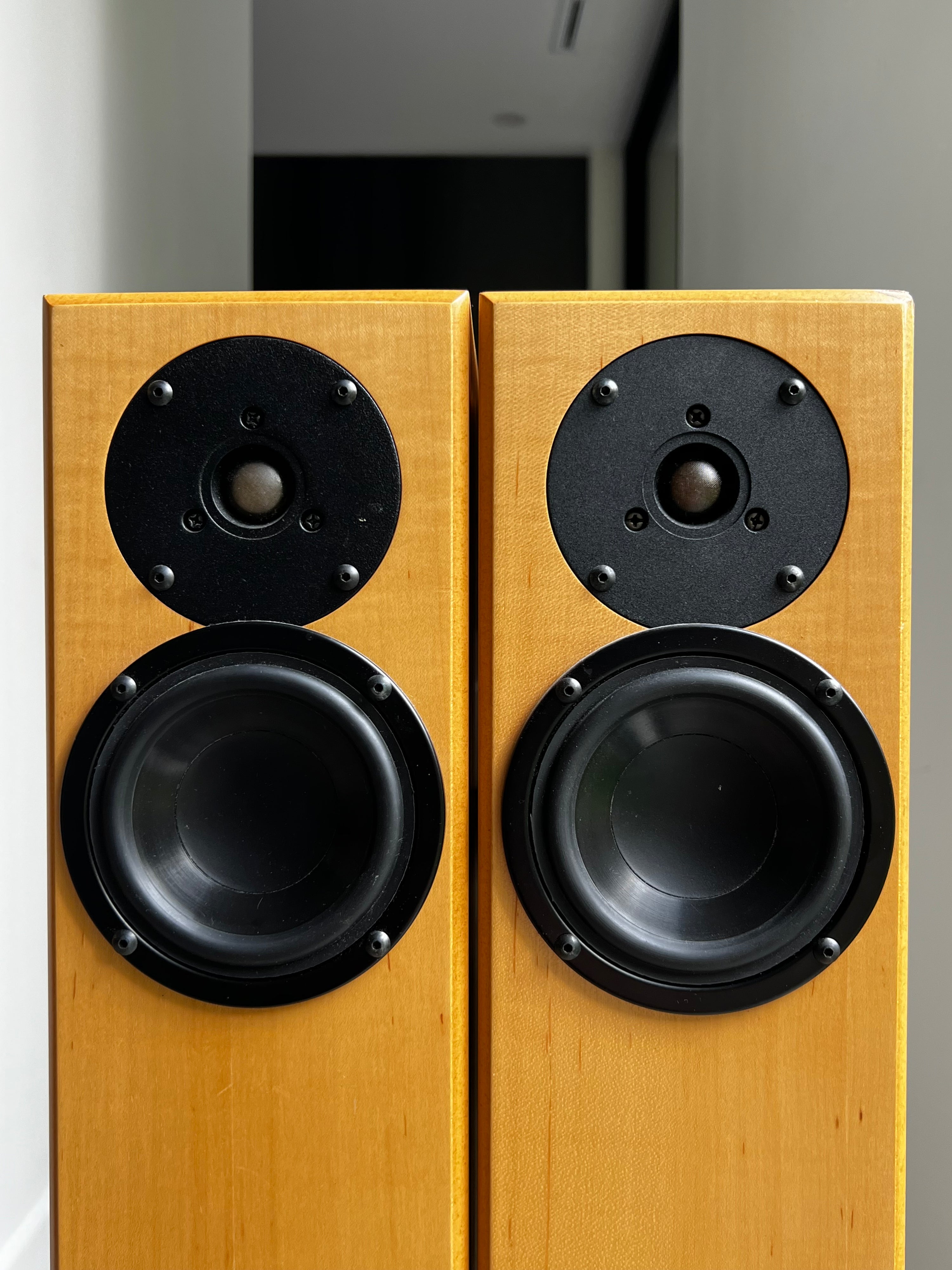 Totem Arro _ Haut-Parleurs de plancher