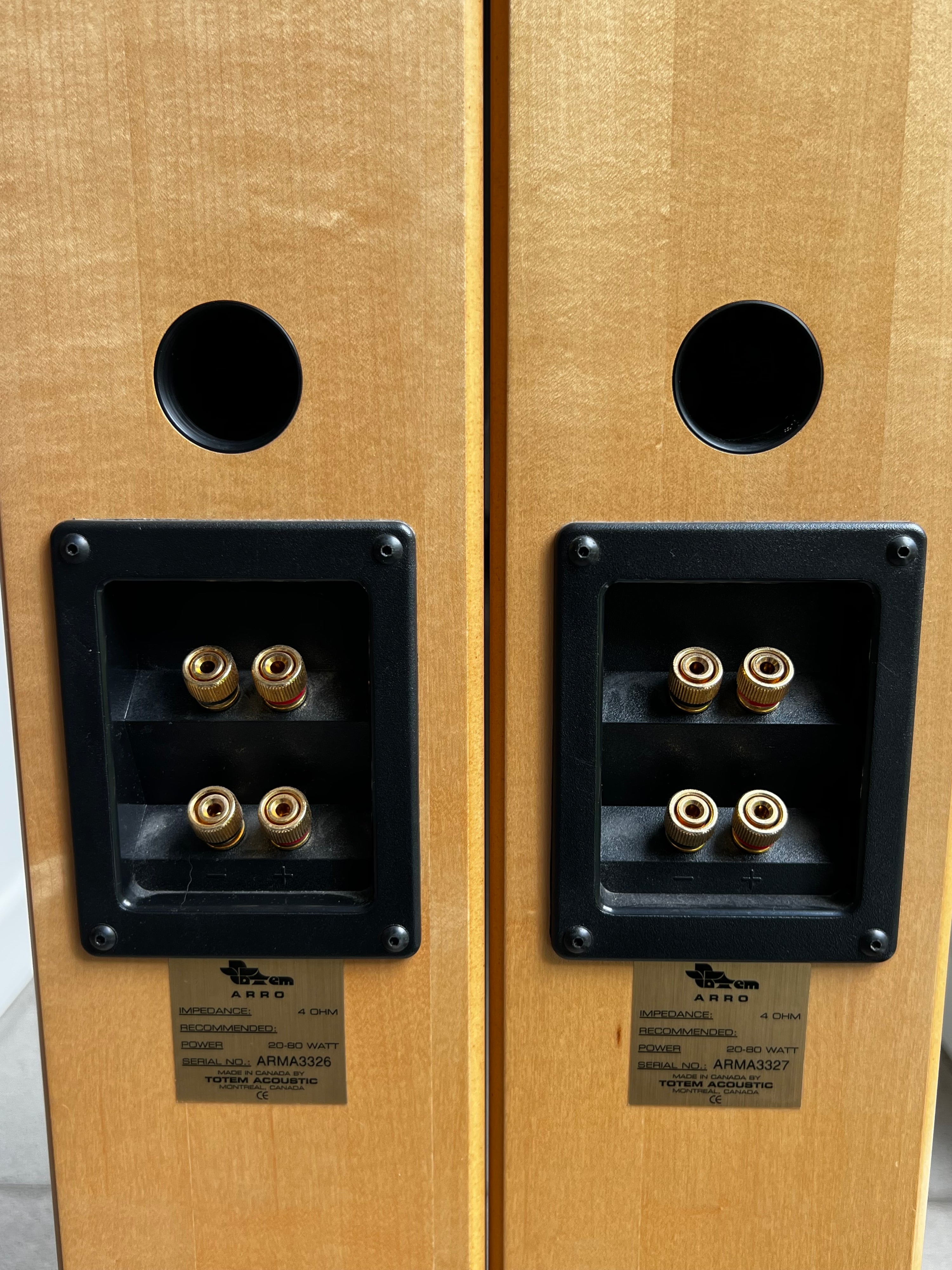 Totem Arro _ Haut-Parleurs de plancher