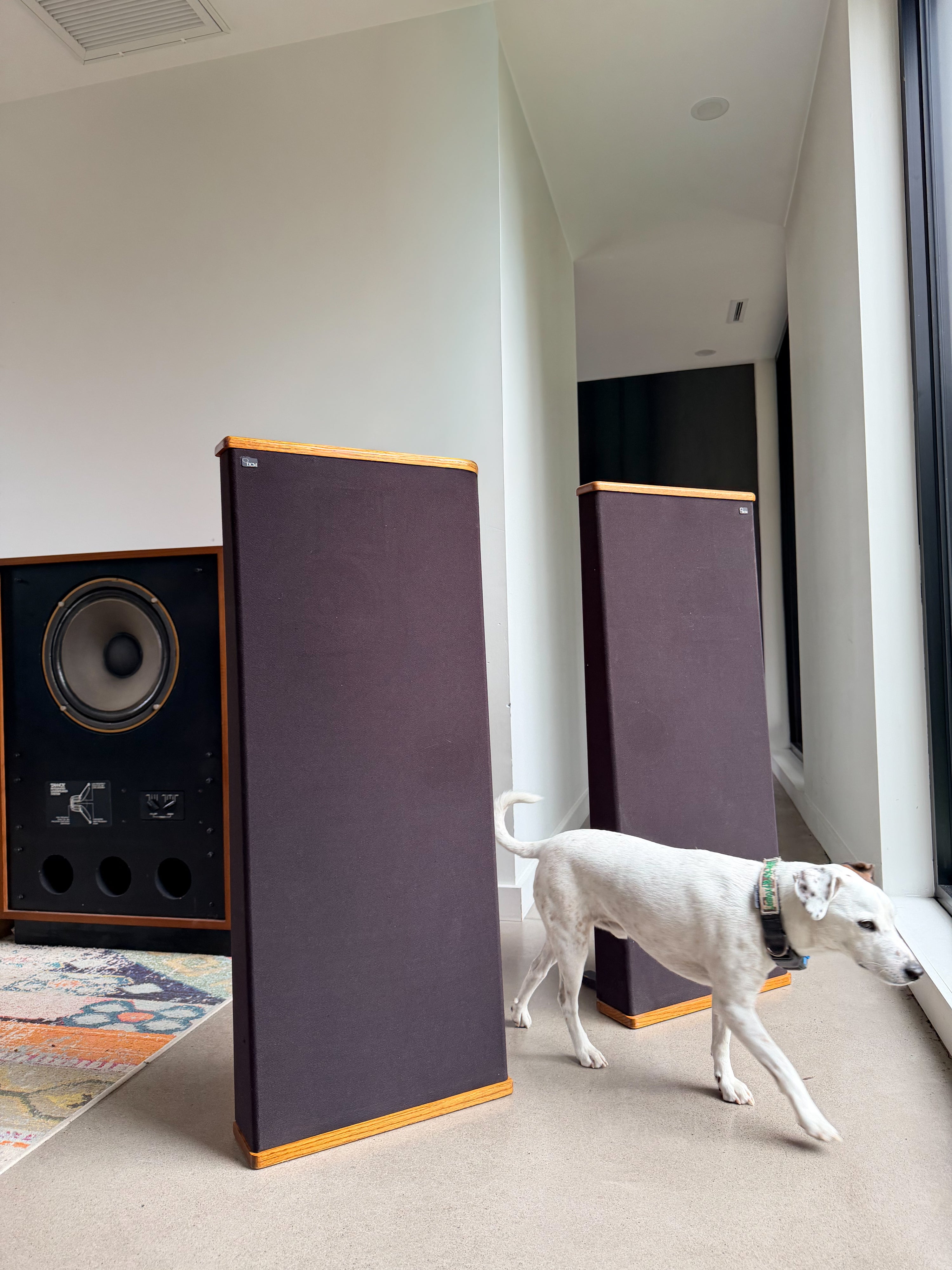 DCM TimeFrame TF500 _Floorstanding speakers