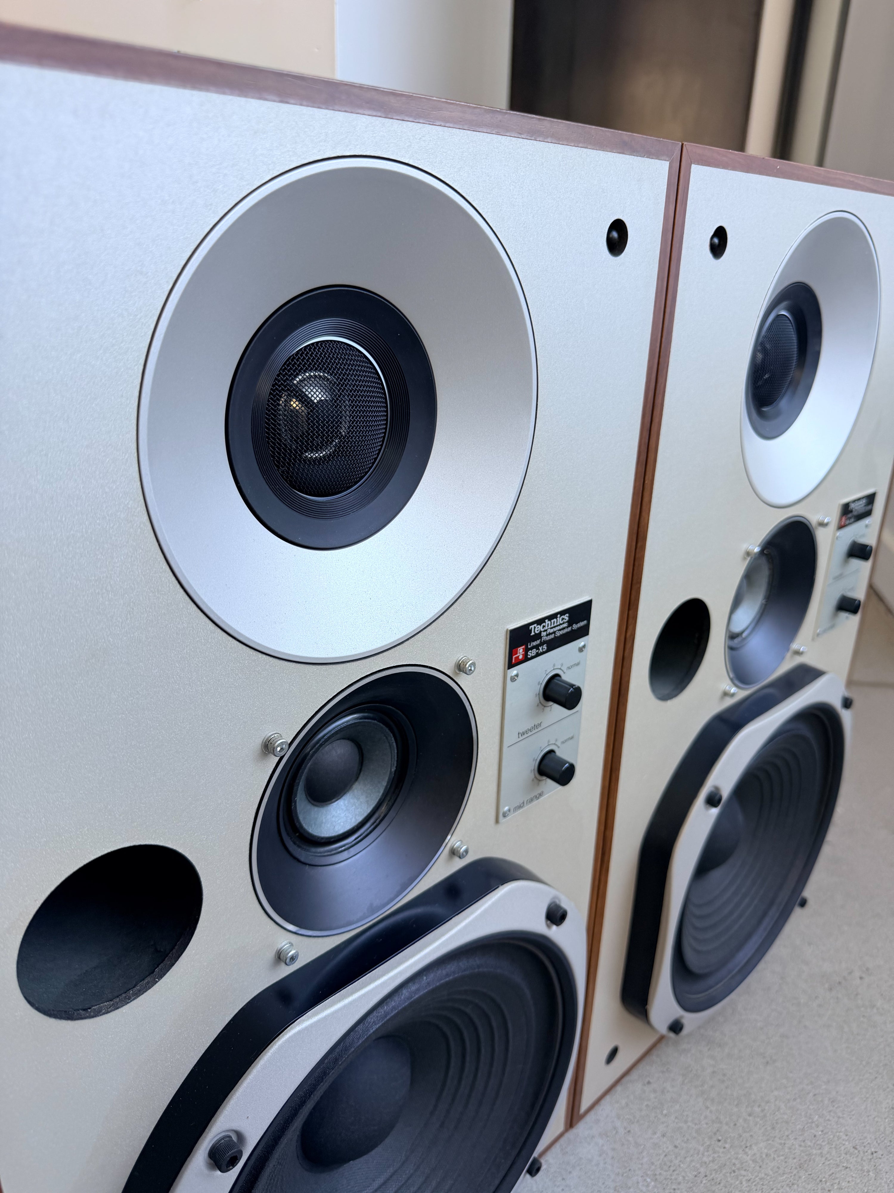 Technics SB-X5 _Haut-Parleurs de plancher