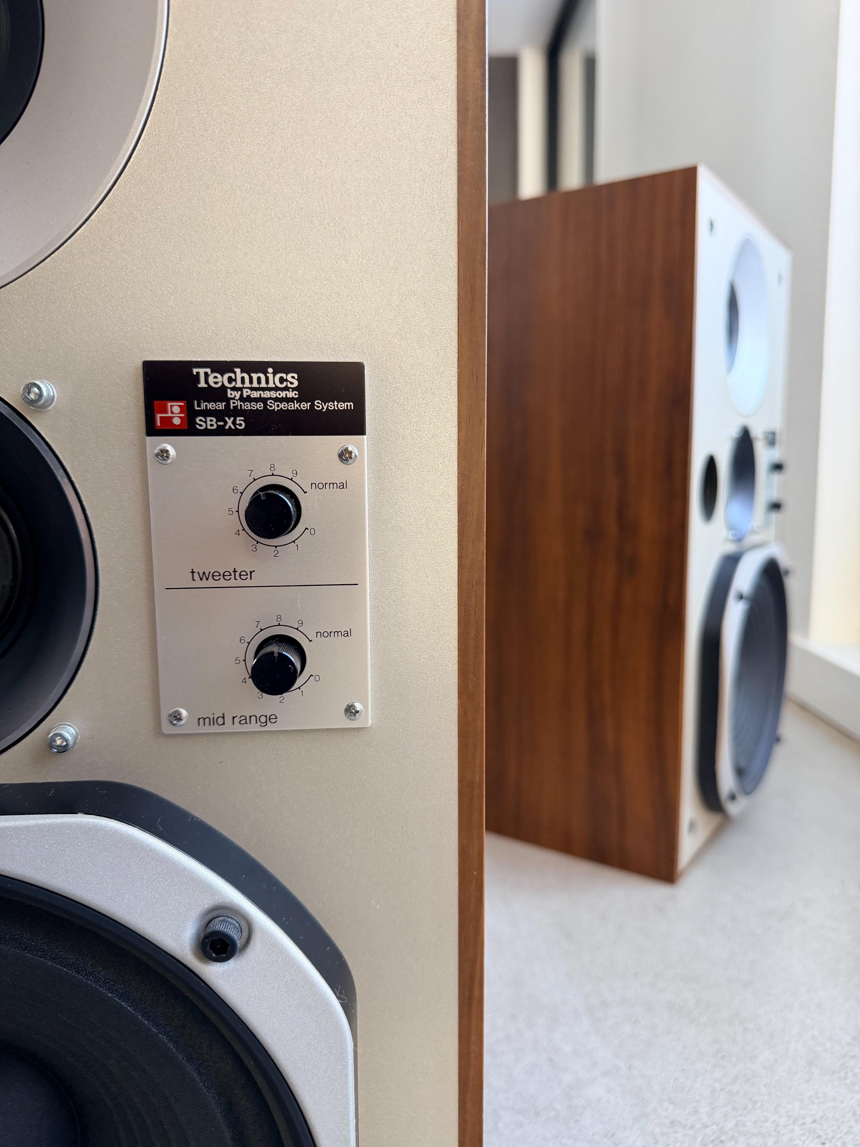 Technics SB-X5 _Haut-Parleurs de plancher